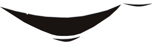 WOK AND ROLL – Bistro